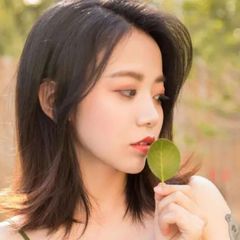 随风音乐库 avatar