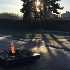 СветоЭлектроМатерия avatar