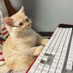 Vsratii meme avatar
