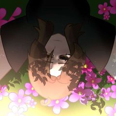 ✨Никто✨ avatar