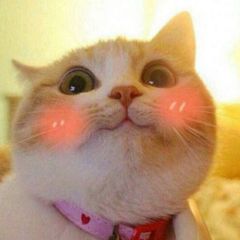 Оля б. нервно шутит avatar