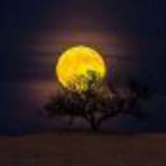 فرزانآگاهی avatar