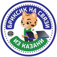 Бриксик на связи из Казани📞 avatar