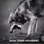 Teen Wolf Confession Avatar