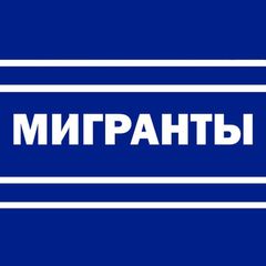 Мигранты — всё как есть avatar