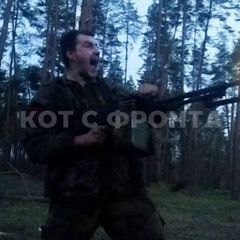 Кот с Фронта🇷🇺 avatar