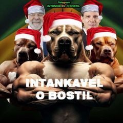 INTANKAVEL O BOSTIL avatar
