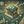 BacurasHouse avatar