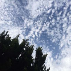 از زبانِ ذَرّه / ایرج رضایی avatar
