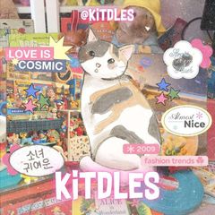 𓂃 𓈒 ‘kitdles: springs.’ ~에 𓏸 🐈 ׅ ۫ always open avatar