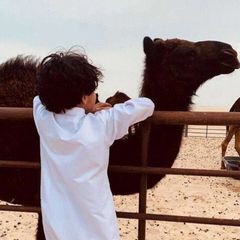 ˹♯̶بـــوح القصيد🎻 avatar