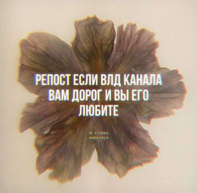 Post media