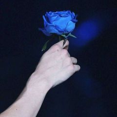 دونه برف؛ avatar
