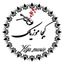 کیجا موزیک Avatar