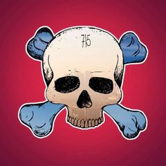 715 TEAM avatar