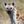 koff_ce avatar