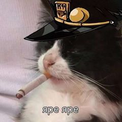 одобрено фондом спидвагона avatar