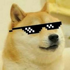 Canal Memes Aki avatar