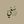 سَعْي avatar