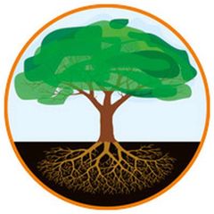 Русская Истина avatar