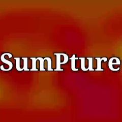 SumPture️️ avatar