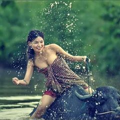 မြမြ အောကား ချောင်းရိုက် avatar