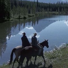 brokeback mountain confession ! avatar