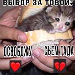 переход ГЕНШИНТРИГ 👹 avatar