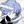 BSD: The blog| сетка по бродячим псам avatar