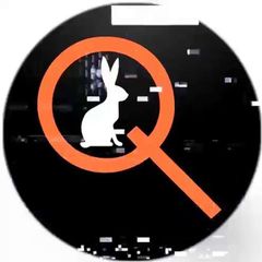 Qlobal-Change avatar