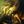 Dark_Enlightenment's aphorisms avatar
