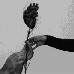 ئاخرین کاتژمێر avatar