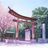 Аниме магазин Torii