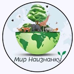 Мир Наизнанку🌱 avatar