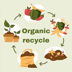 Organic recycle I ПЕРЕРАБОТКА ОРГАНИКИ ☘ avatar