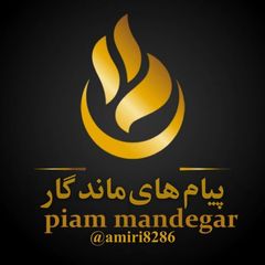 محمد امیر امیری avatar