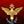 Right History avatar