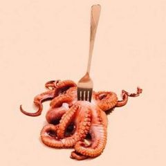 Restosnob avatar