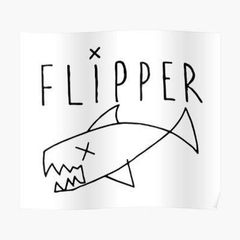 Flipper's place avatar