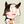 GGyu’s Daily WEB3 avatar