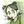 Novikony avatar