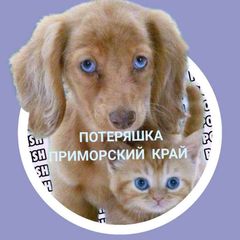 Потеряшка Приморского края avatar