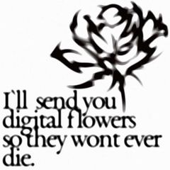 socialoxygen avatar