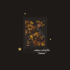 l'automne . 𖣲 avatar