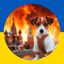 копіпаста (#укртґ) Avatar