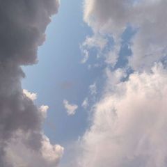В гостях у сонного кота 🌫️ avatar