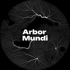 Гуманитарии 4.0 | Arbor Mundi РГГУ avatar