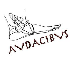Audacibus - древние языки для смелых avatar