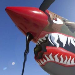 Angry Warhawk avatar
