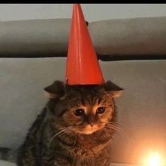 Серафим да Котята-Гномики avatar